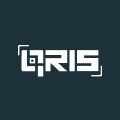 QRIS